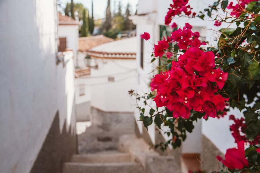 Granada: Albaicín and Sacromonte Walking Tour - The jump from Albaicín into Sacromonte’s cave quarter