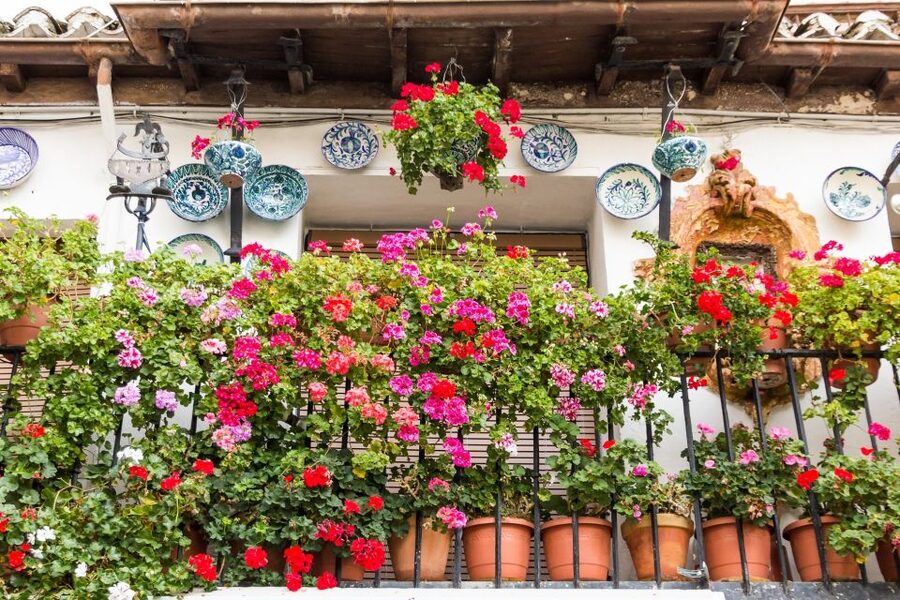 Granada: Albaicín and Sacromonte Walking Tour - Starting at Plaza Isabel la Católica: a smart launch point