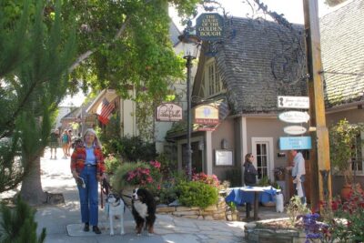 Guided 2-Hour Walking Tour in Carmel by the Sea - Where to meet on Ocean Avenue, and how the walk ends