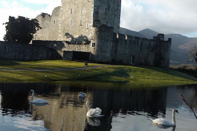 Guided Killarney National Park Walking Tour - Why this Killarney National Park walk beats a bus tour