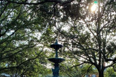 Guided Savannah Civil War History Walking Tour - Sherman, Order No. 15, and the Military Reality Under the Pretty Facade