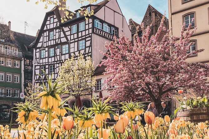 Guided Walking Tour in Strasbourg between History and Curiosities - Place Gutenberg and Bottai: where history meets modern eating