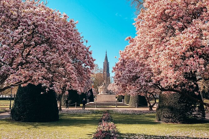 Guided Walking Tour in Strasbourg between History and Curiosities - Group size, pace, and how to make the most of 2.5 hours