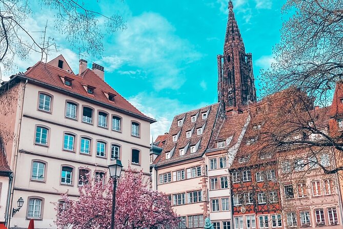 Guided Walking Tour in Strasbourg between History and Curiosities - Place Kleber: Strasbourg’s big square, especially at Christmas