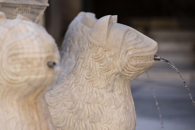 Guided Walking Tour of the Alhambra in Granada - Nasrid Palaces and the Patio de los Leones Moment