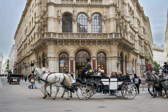 Guided Walking Tour of Vienna City Center Highlights - A quick pass by the Spanish Riding School
