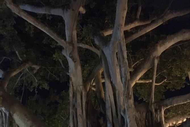 Haunted History of Fort Myers Walking Tour - Sidney & Berne Davis Art Center: Haunted Clues with Local Character