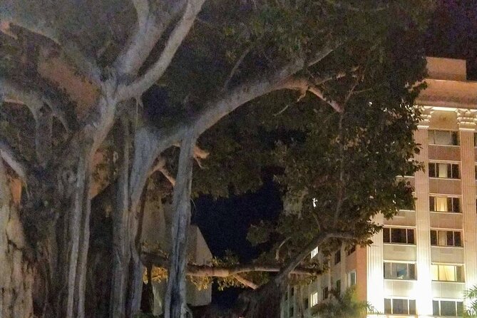 Haunted History of Fort Myers Walking Tour - Price and Value: Is $30 Worth It for a Haunted History Walk?