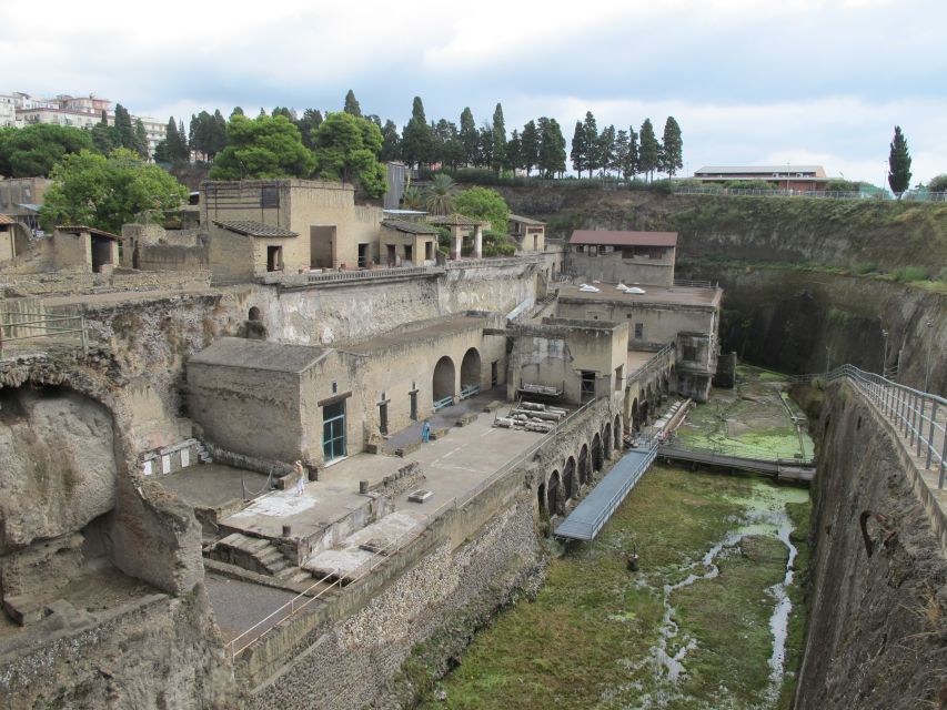 Herculaneum: 3D Walking Tour with Skip-the-Line Ticket - Key highlights worth your time