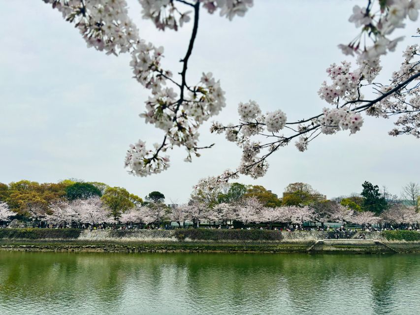 Hiroshima: History of Hiroshima Group Walking Tour - Key things to know before you go