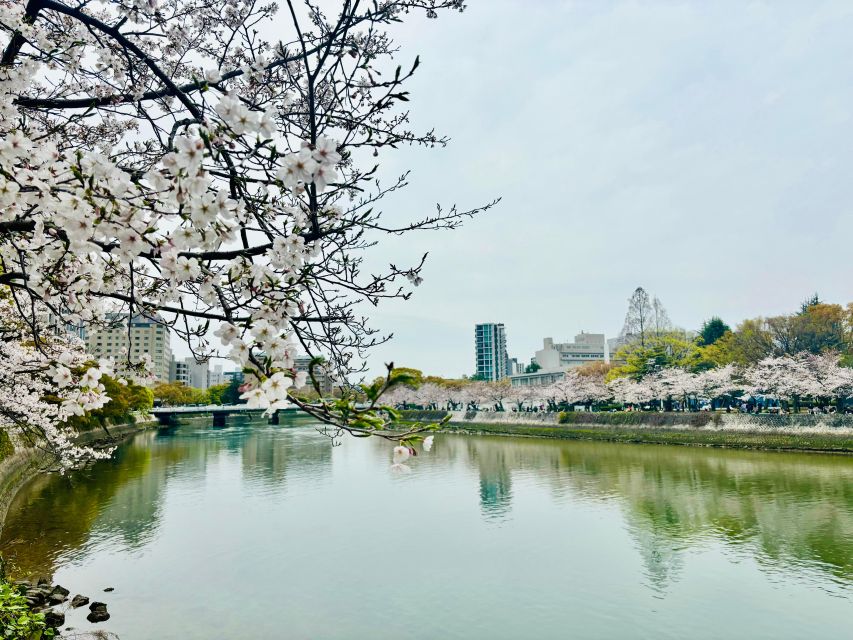Hiroshima: History of Hiroshima Group Walking Tour - Pace, timing, and how to make the walk feel manageable