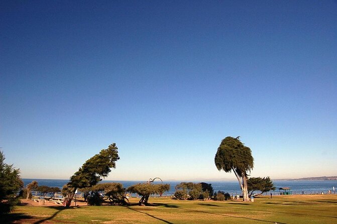 Historic La Jolla Walking Tour - Key highlights to expect on this La Jolla walk