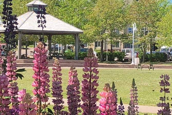 Historic Walking Tour of Charlottetown - Why This Charlottetown Historic Walk Works in Two Hours