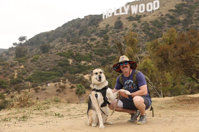Hollywood Sign 2.5-Hour Tour with Comedians and Their Dogs - Hollywood Sign views you can earn, not just watch