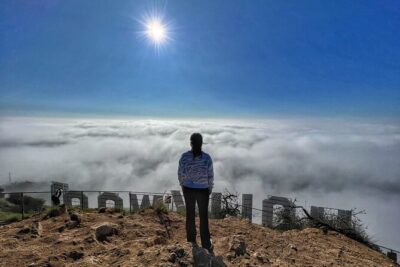 Hollywood Sign 2.5-Hour Tour with Comedians and Their Dogs - What the hike feels like (and who it fits best)