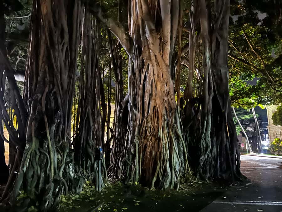 Honolulu Haunts: Ghosts and Spirits Walking Tour - Iolani Palace after dark: royals, reputation, and lingering shadows