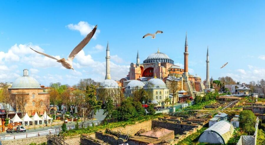 Istanbul: Private Guided Walking Tour - Topkapi Palace: Ottoman life, sultans, and the harem story line