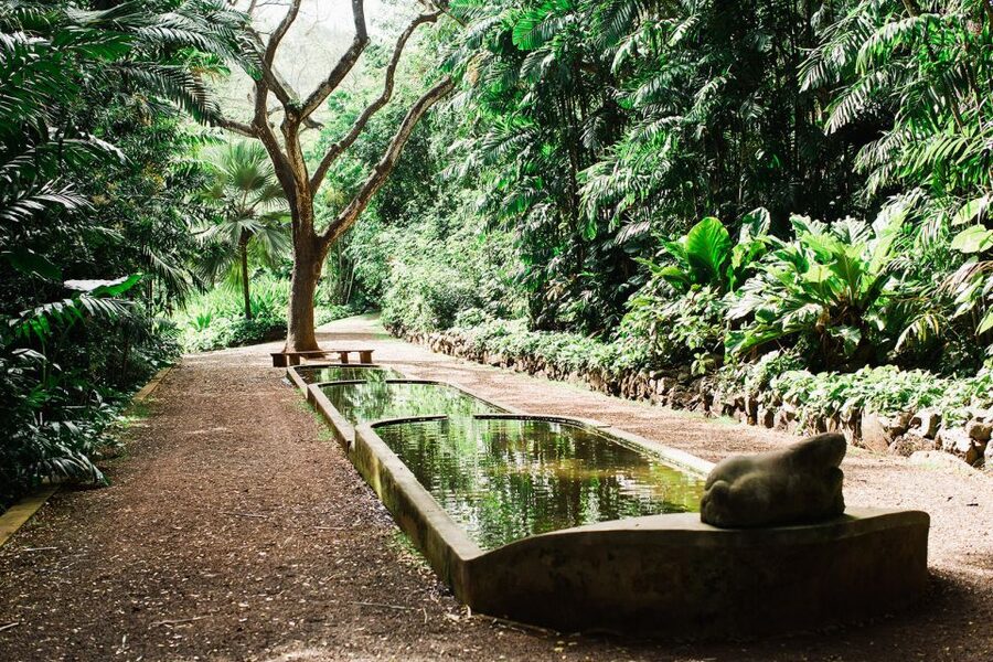 Kauai: Allerton Garden Guided Group Walking Tour - Price and value: why $63 feels fair for a guided garden walk