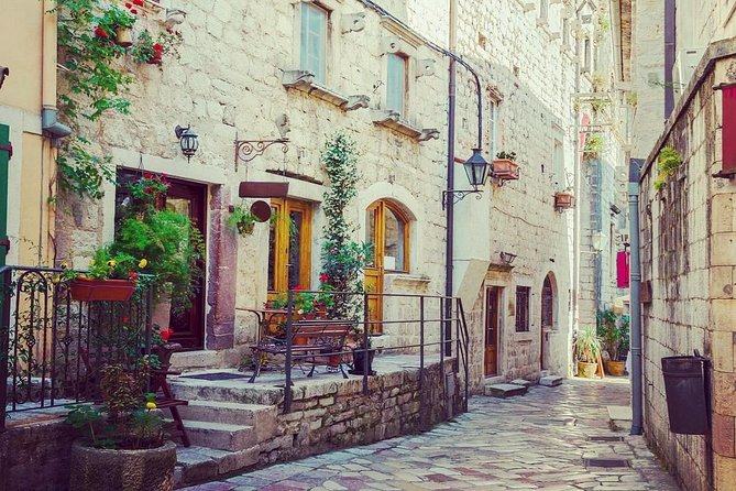 Kotor Old Town Small-Group Walking Tour - Kotor Old Town in 90 minutes: what this tour covers