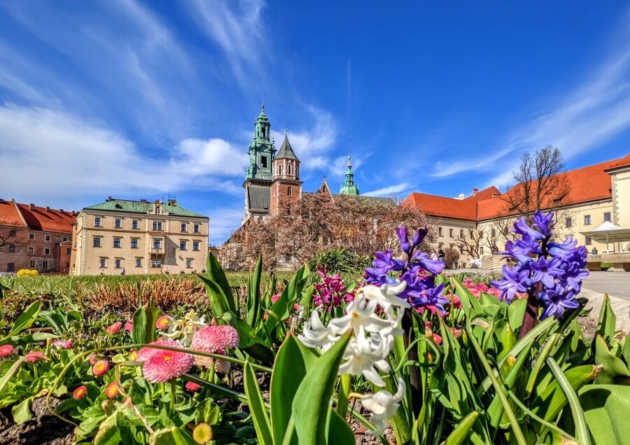 Kraków: Old Town & Wawel Castle Walking Tour in English - Archbishop Palace and the John Paul II papal window