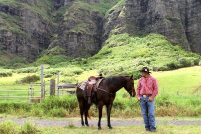 Kualoa Ranch - Horseback Walking Tour - Before you ride: check-in timing, ID, and body limits