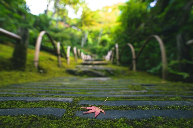 Kyoto Arashiyama Bamboo forest & Garden Half-Day Walking Tour - Okochi Sanso Garden: Where the Pace Turns Calmer (about 45 minutes)