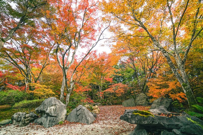 Kyoto Arashiyama Bamboo forest & Garden Half-Day Walking Tour - Tenryuji Temple: World Heritage Gardens with Guide Commentary (about 30 minutes)