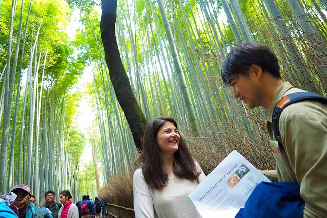 Kyoto Arashiyama Bamboo forest & Garden Half-Day Walking Tour - Small-Group Control, Tickets Included, and Guides Like Josh, Yuki, and Ayuri