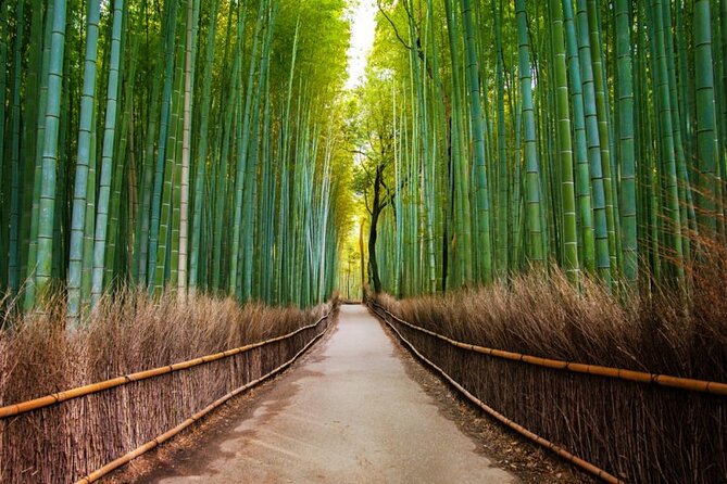Kyoto Arashiyama Walking Tour: Bamboo, Monkeys, Gardens & Secrets - Stop 2: Nonomiya Shrine and the idea of purification