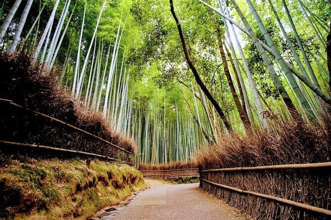 Kyoto Arashiyama Walking Tour: Bamboo, Monkeys, Gardens & Secrets - Stop 3: Okochi Sanso Garden for quiet, elegant pacing