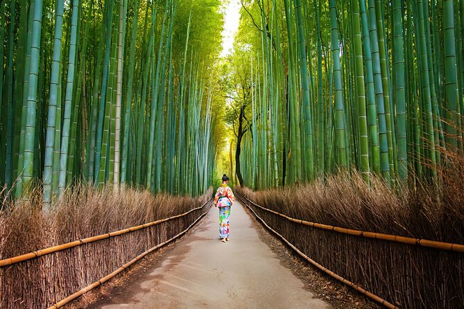 Kyoto Arashiyama Walking Tour: Bamboo, Monkeys, Gardens & Secrets - Getting to the start: avoid the Arashiyama station trap