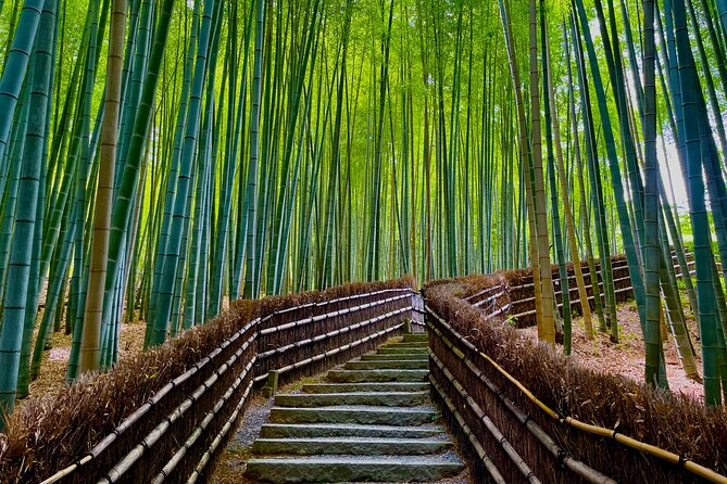 Kyoto Early Bird English Tour: Fushimi-Inari and Arashiyama - What to bring for comfort on early Kyoto days