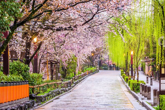 Kyoto Geisha District Walking Tour in Gion - Meeting at Gion Kōbu Kaburenjō and what to expect on the ground