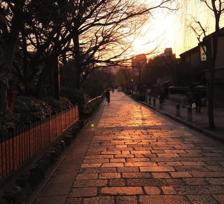 Kyoto Geisha Walking Tour: Gion District & Hidden Gems - Spotting Geiko and Maiko: what to watch for and how to act respectfully