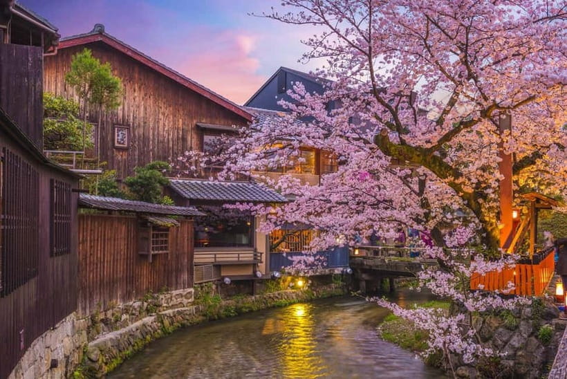 Kyoto Geisha Walking Tour: Gion District & Hidden Gems - Chion-in Temple: the “often overlooked” national treasures stop