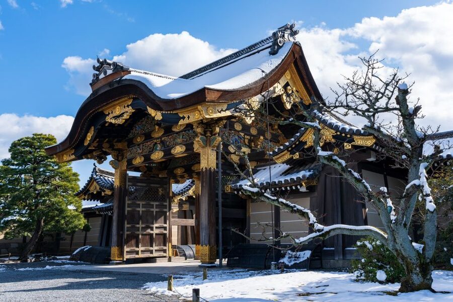Kyoto: Imperial Palace & Nijo Castle Guided Walking Tour - Who this tour suits best (and who should skip it)