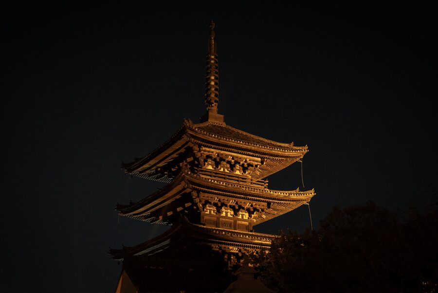 Kyoto: Izakaya Bars Guided Walking Tour - Sake tasting and drink variety: what you should plan to notice