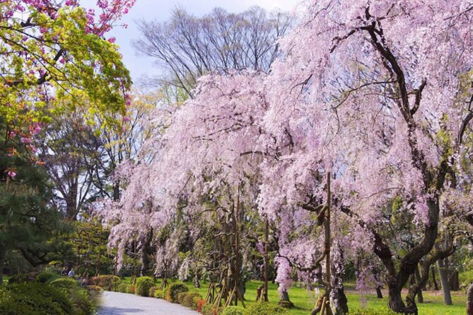 Kyoto: Nijo Castle World Heritage Guided Tour with Admission - The Real Star: Your Guide (Alex, Nao, Naoya, Benjamin)