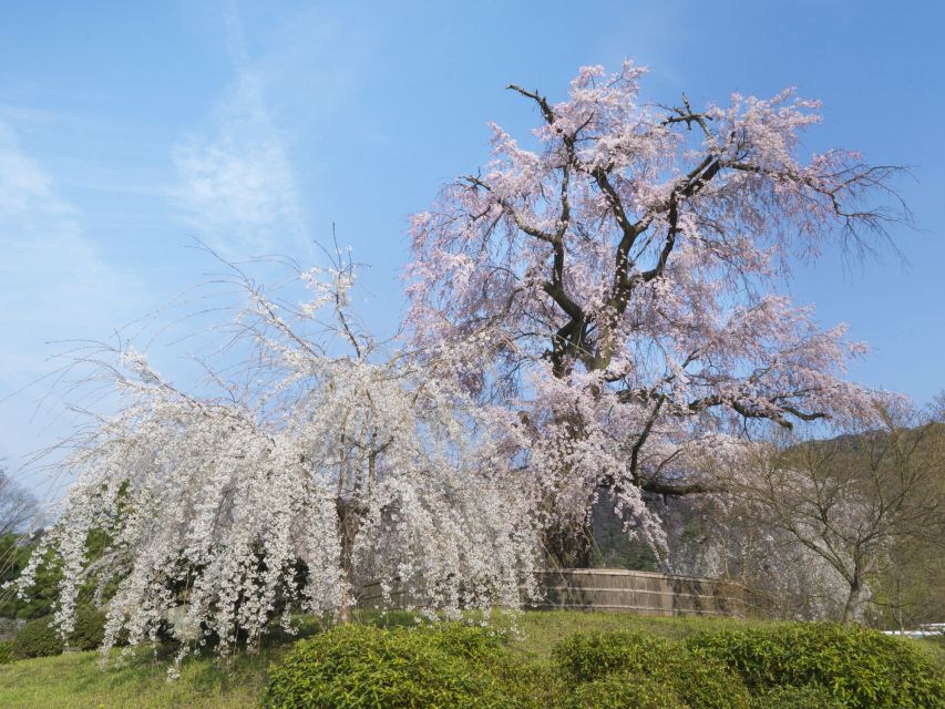Kyoto: Private 2.5 Hour Historical Walking Tour - Price and Value for a Private Group (What Makes It Feel Fair)