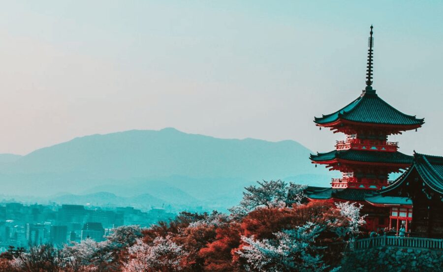 Kyoto : Private Custom Walking Tour With A Local Guide - Key things to look for on this Kyoto walking tour