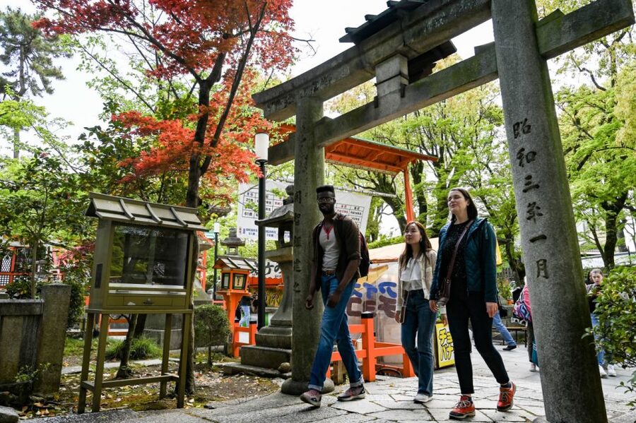Kyoto: Private Customized Walking Tour with a Local Insider - Food stops that actually taste local: Nishiki and lunch beyond the obvious