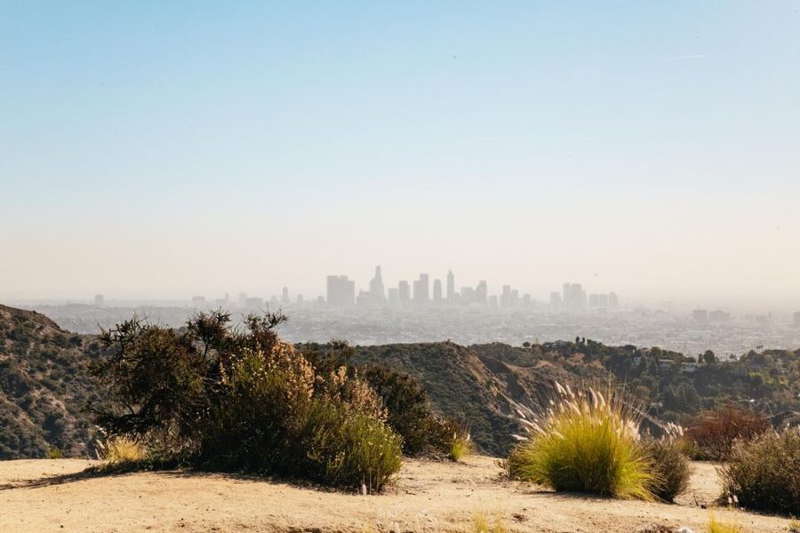 LA: Express Hollywood Sign Guided Walking Tour with Photos - Water, snacks, and what to bring for a smoother climb