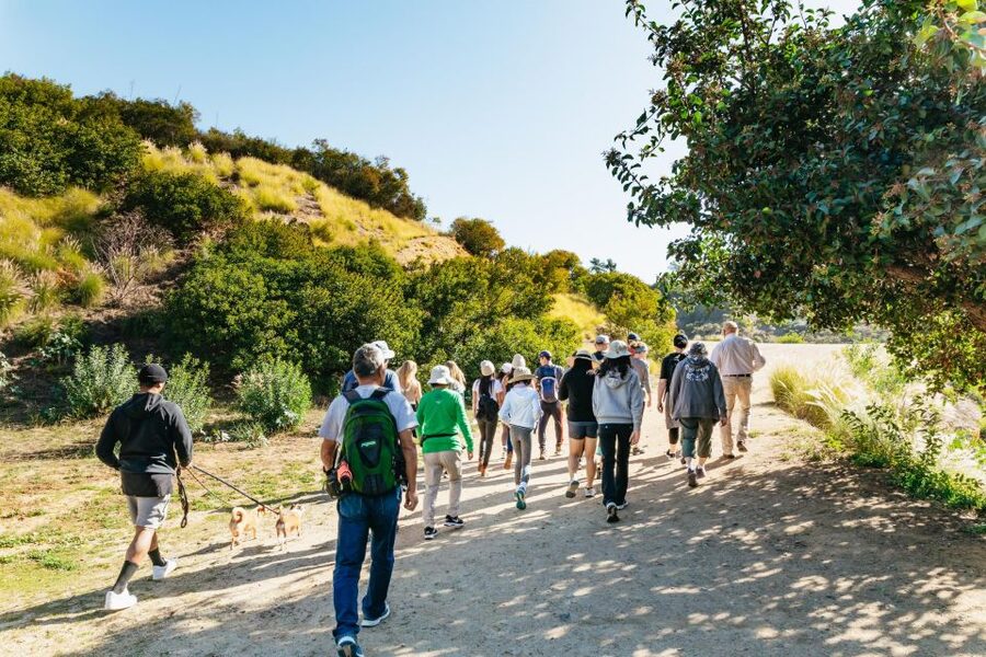 LA: Express Hollywood Sign Guided Walking Tour with Photos - Price and value: why $15 can be a good deal here