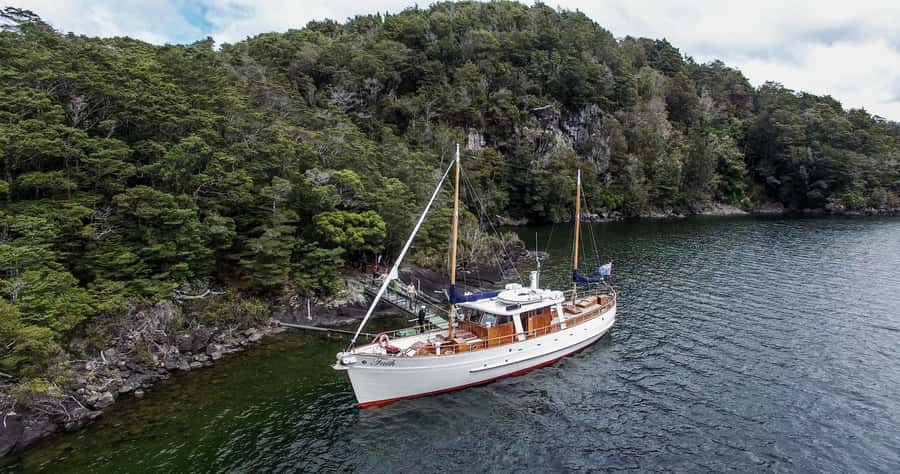 Lake Te Anau: 3-Hour Boat Cruise with Guided Walk - Price and value: why $86 can feel fair here (and where it might not)
