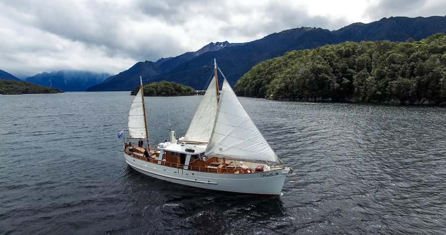 Lake Te Anau: 3-Hour Boat Cruise with Guided Walk - Practical tips for a smooth day on Lake Te Anau