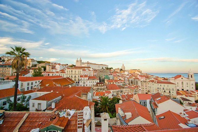 Lisbon: Alfama District Walking Tour - Alfama on the ground: 1755 survival and street-level charm