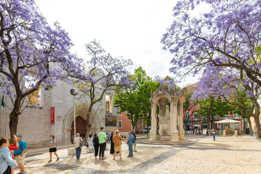 Lisbon: History, Stories and Lifestyle Walking Tour - Who this tour suits best