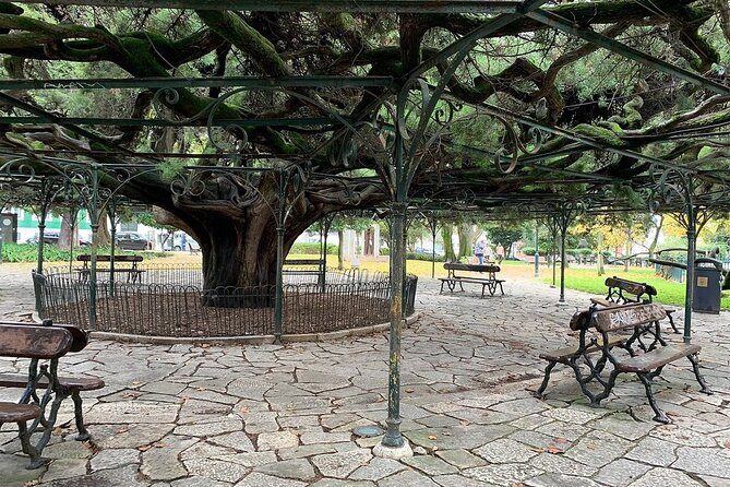 Lisbon - Small Group Walking Tour - Trindade: a quick stop with big story energy