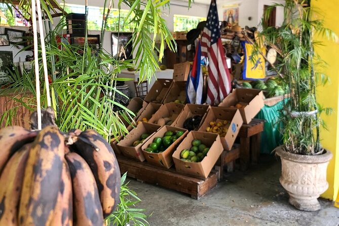 Little Havana: Authentic Food and Culture Walking Tour - History Hits the Sidewalk: Domino Park, Cuban Memorial Park, and the Bay of Pigs