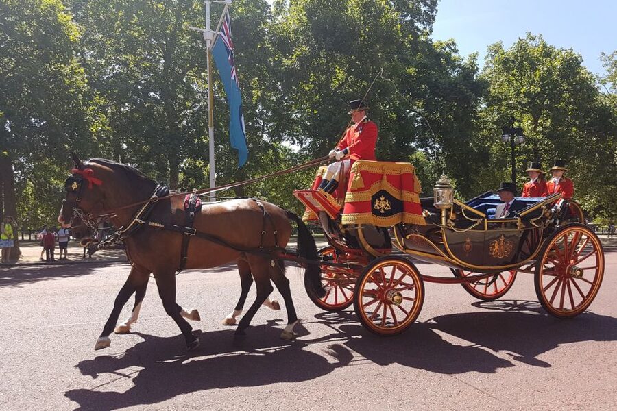 London: 30 London Sights Guided Walking Tour - What to bring, and how to make the day easier on your feet